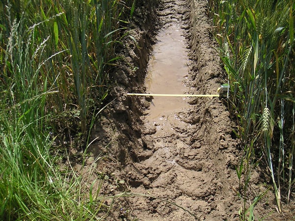 Compactación de suelos debida a las pasadas repetitivas de los neumáticos de tractor