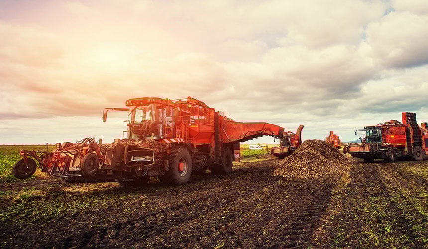 Fuerte compactación del suelo alrededor de los silos