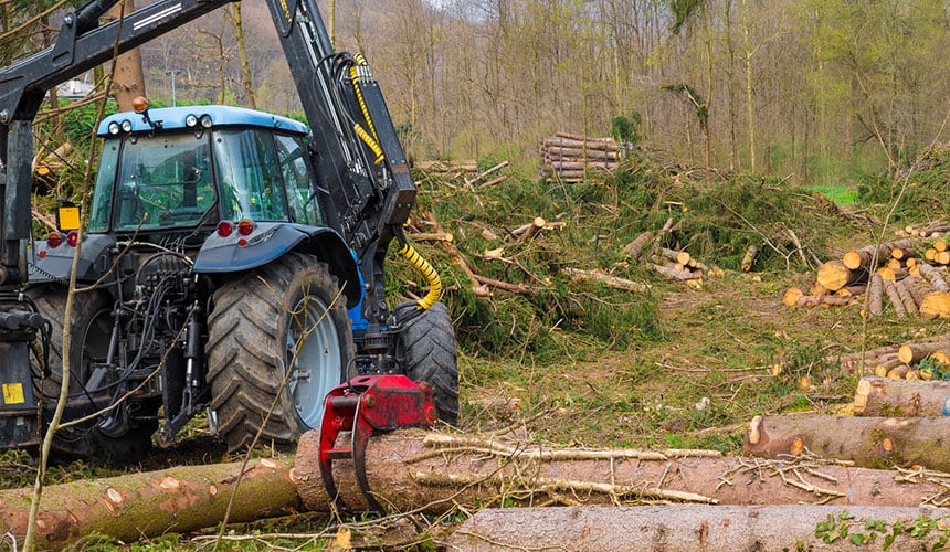 Trabajos forestales inadecuados para neumáticos agrícolas