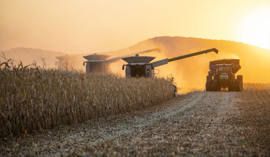 Neumático Maxi Traction Harvest para la cosecha del maíz