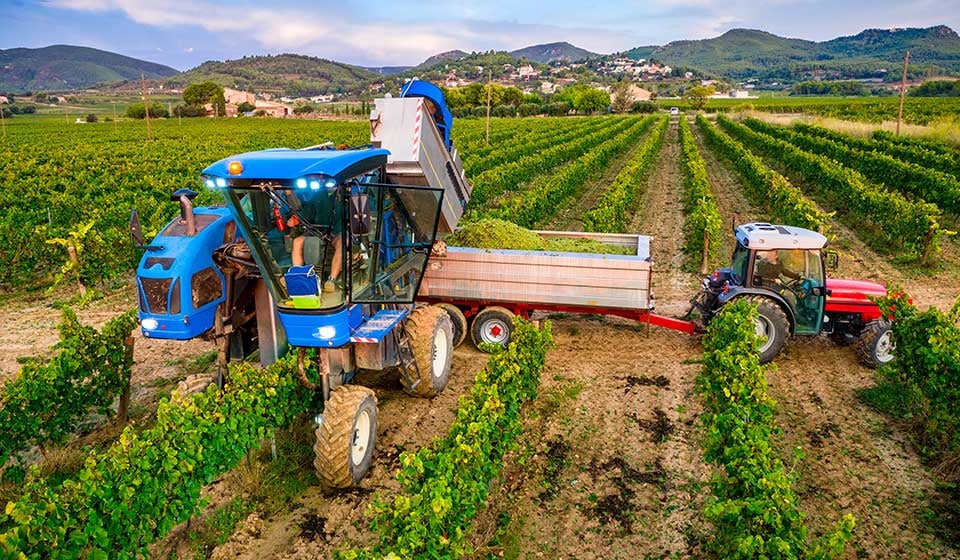 Neumáticos para viñedos para evitar la compactación del suelo