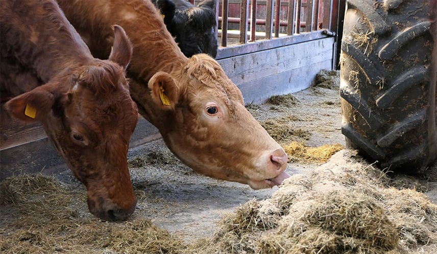 Ajuste de presión de los neumáticos agrícolas más elevado para el suelo duro de las naves ganaderas