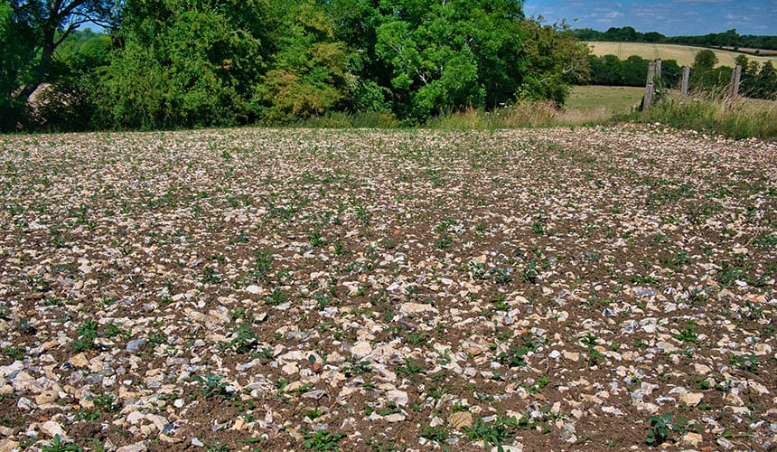 Terreno pedregoso abrasivo para los neumáticos agrícolas