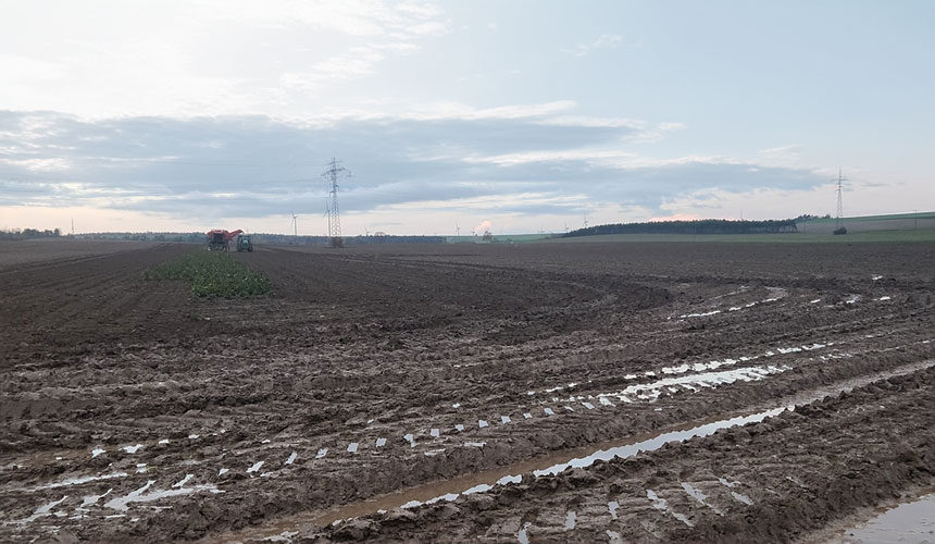 Las tierras arcillosas se vuelven fangosas con facilidad cuando el tiempo es húmedo
