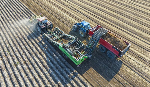 ¿Qué neumático agrícola para una cosechadora de patatas?
