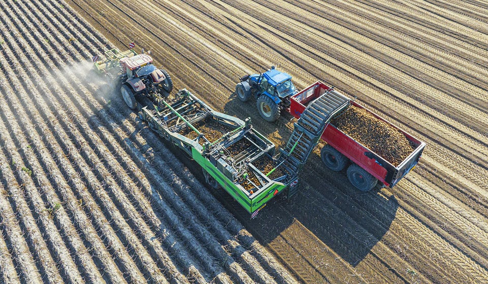 Qué neumático agrícola para una cosechadora de patatas