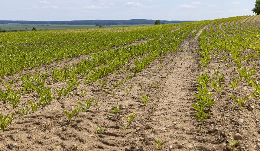 Unos neumáticos inadecuados acentúan el fenómeno de la compactación