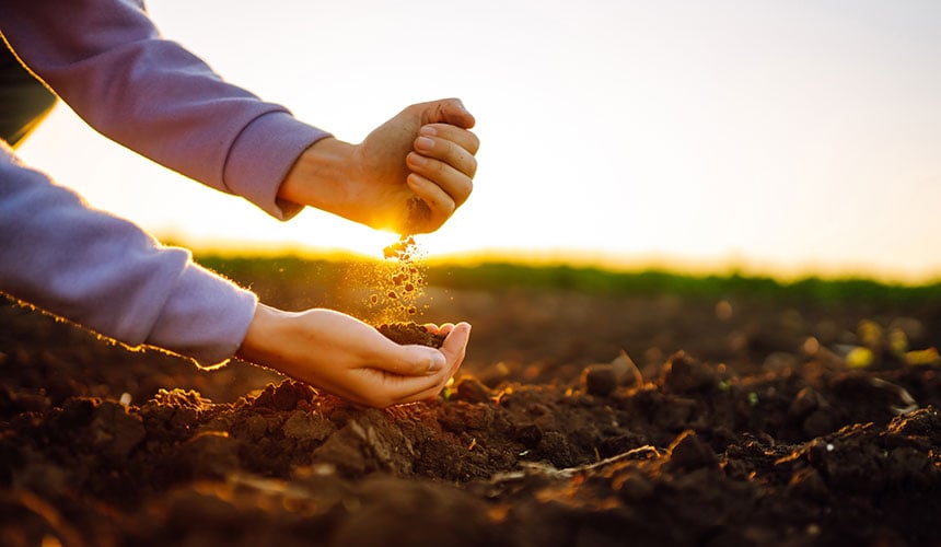 Menos presión para preservar la fertilidad del suelo