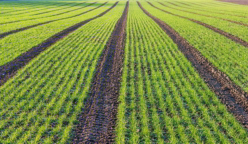 Pérdidas de rendimiento asociadas al uso de neumáticos agrícolas convencionales
