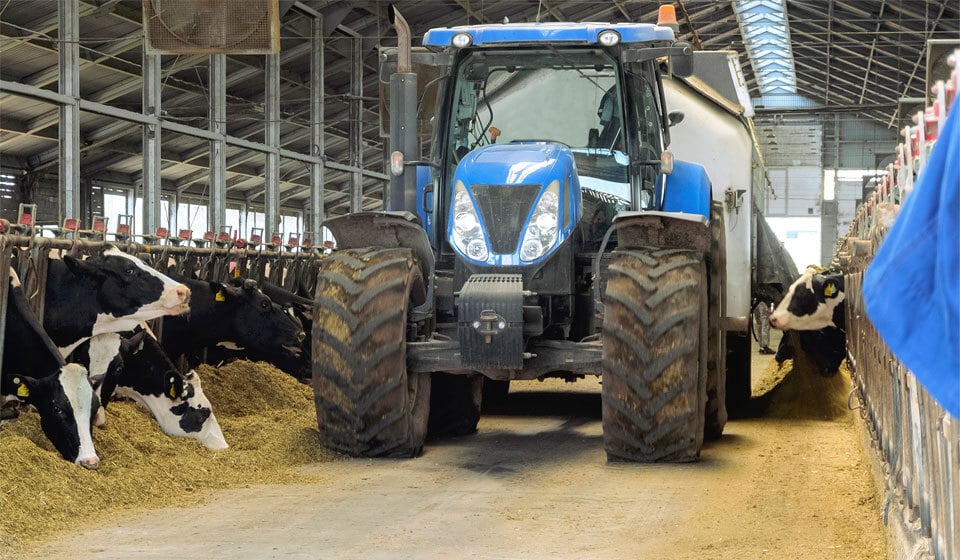 Neumático agrícola eficaz en el policultivo ganadero