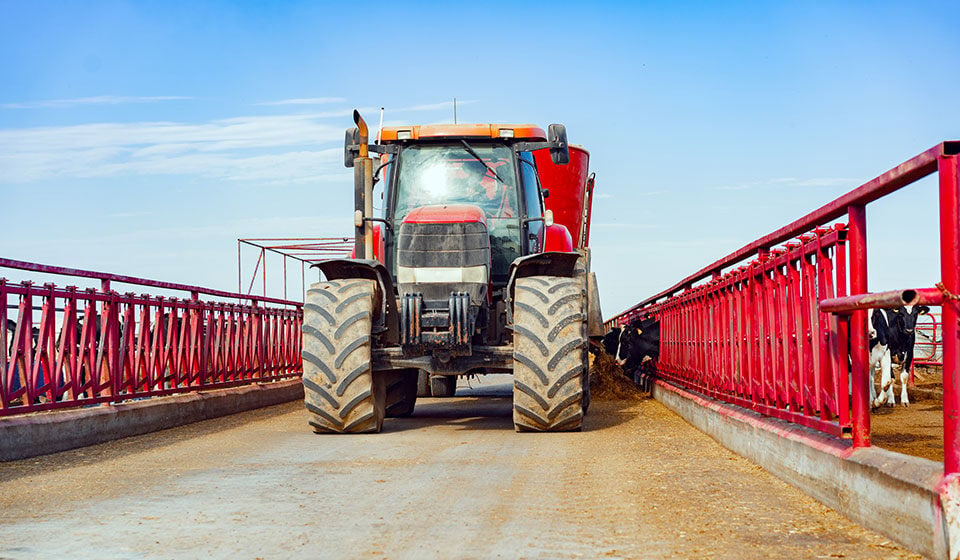 ¿Qué neumáticos agrícolas utilizar para el policultivo ganadero?