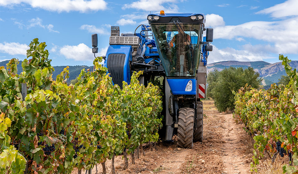 Neumáticos para viñedos para evitar la compactación del suelo